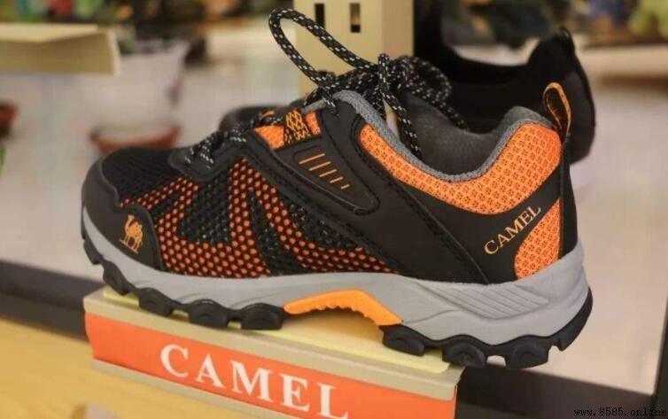 Camel 是什麼牌子？解析駝牌產品與公司背景