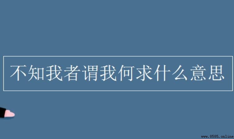 不知我者謂我何求意思解析