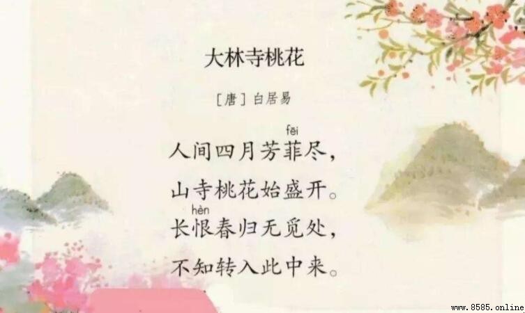 不知转入此中来是什么意思