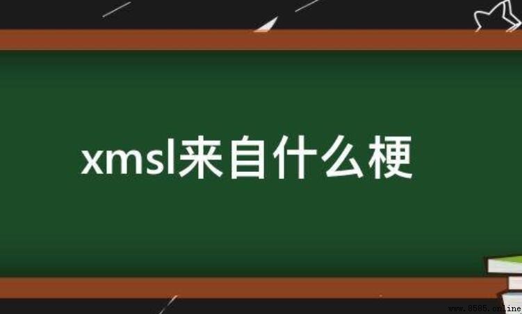 xmsl 什麼梗？網路語言解析