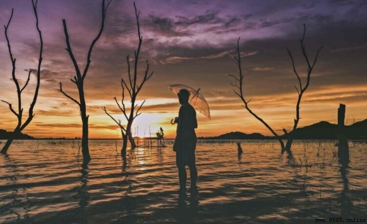 對某人失望心寒的詩句集