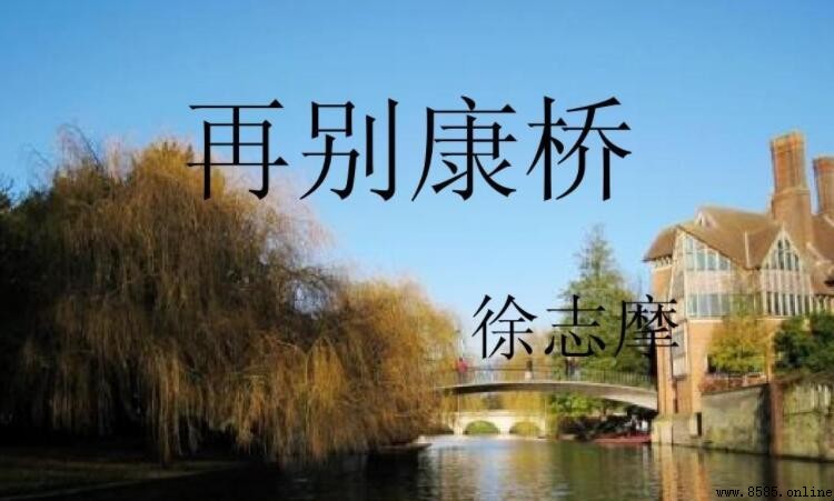 沉默是今晚的康桥下一句