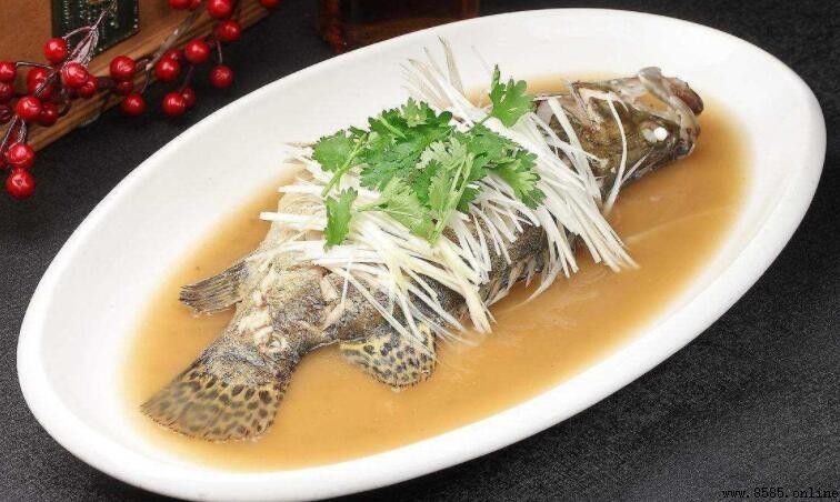 吃魚會長胖嗎?解析魚肉營養與體重管理的關係
