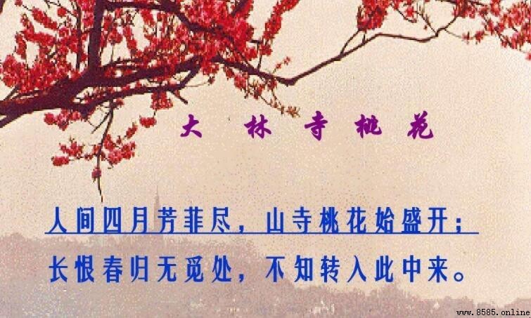 不知轉入此中來的上一句是什麼?