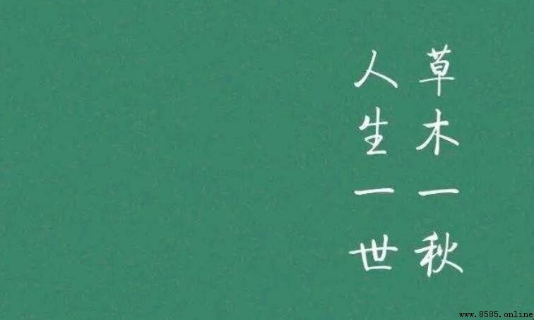 人活一世草木一秋全詩是什麼