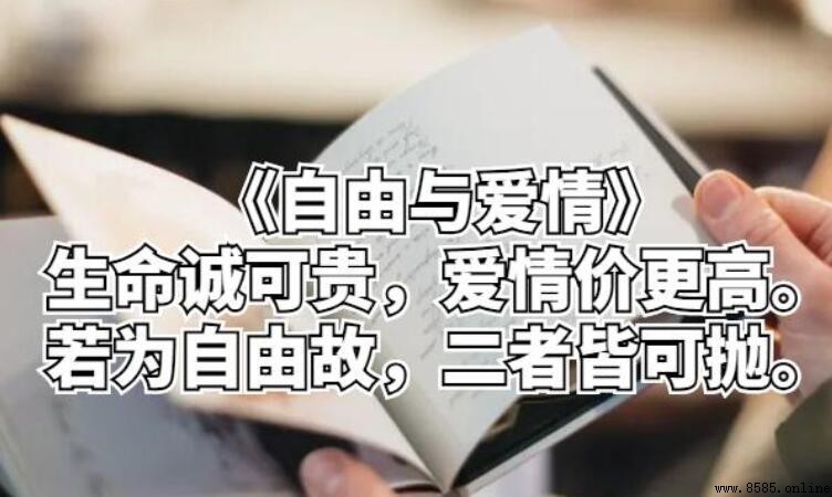 愛情價更高前面一句是什麼?完整詩句與出處解析