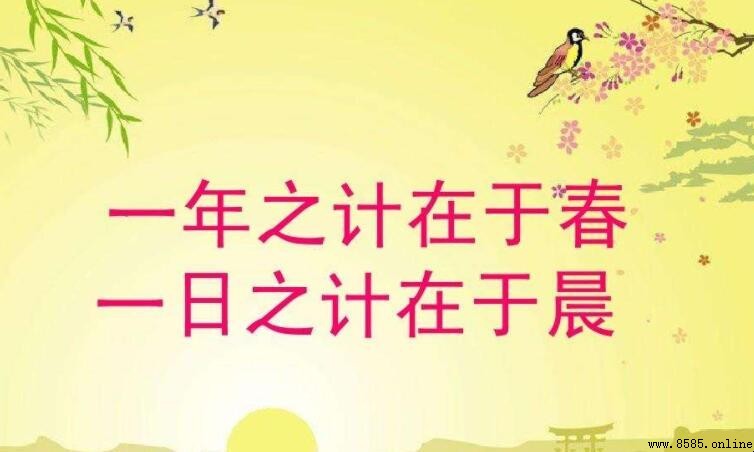 一日之計在於晨一年之計在於春的意思