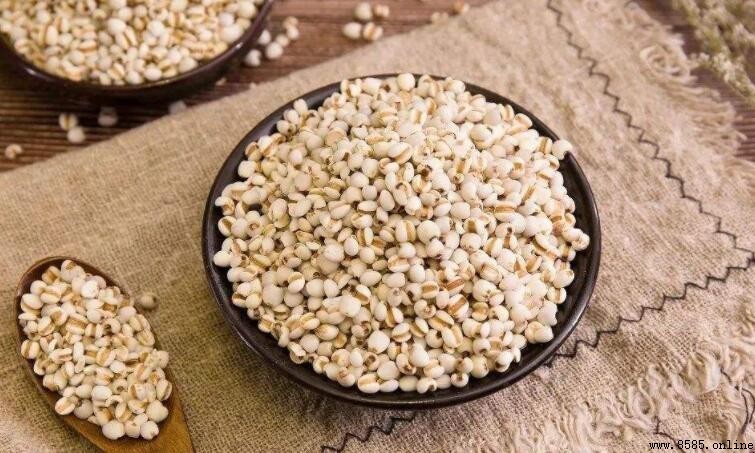 薏米需要炒熟再煮嗎？解答彌濕美白的食用方法