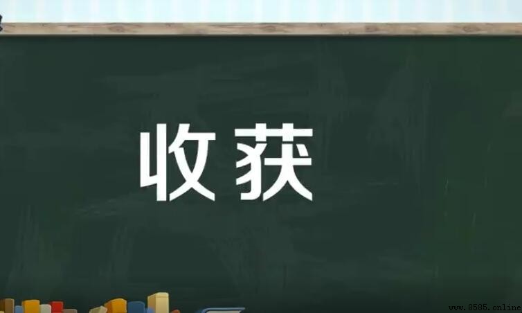 收獲的意思
