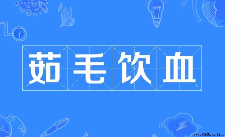 什麼毛什麼血詞語有哪些