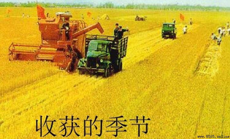 收獲季節是什麼時候？秋季農收時間解析