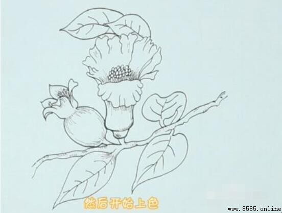 石榴花简笔画教程