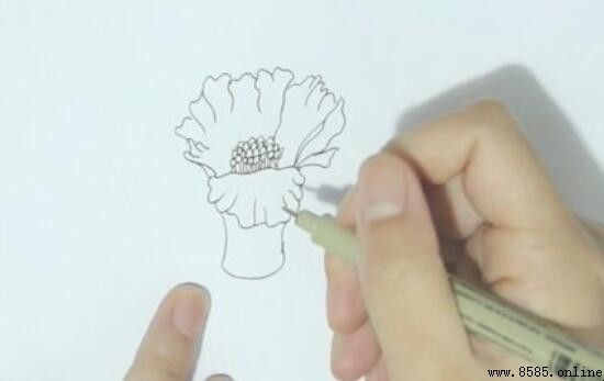 石榴花简笔画教程