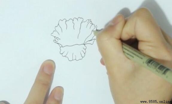 石榴花简笔画教程