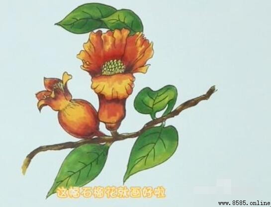 石榴花简笔画教程
