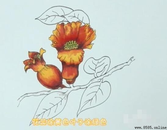 石榴花简笔画教程