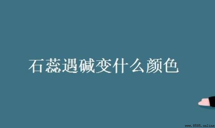 石蕊遇鹼變什麼顏色