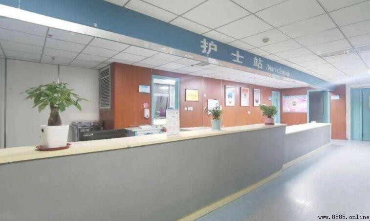 特需號是什麼意思?醫院特需門診解說