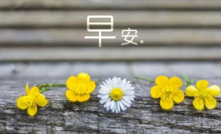 微信早安问候语简短有哪些