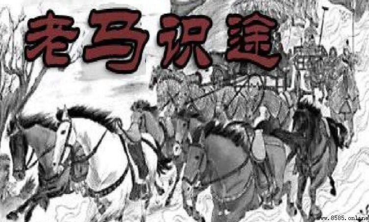 老馬識途的主人公是誰？解析故事主角與背景
