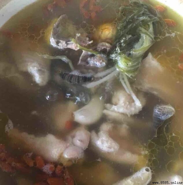 老母雞湯怎麼炖好喝又營養
