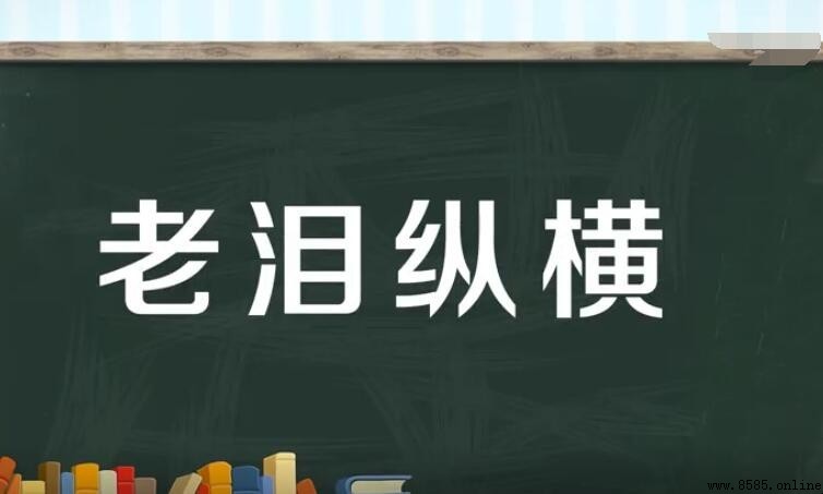 老泪纵横的意思