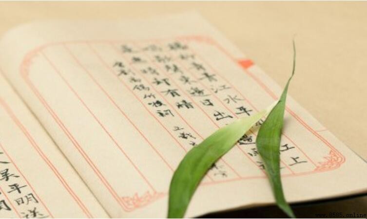 老蒯在東北的含義與使用情境解析
