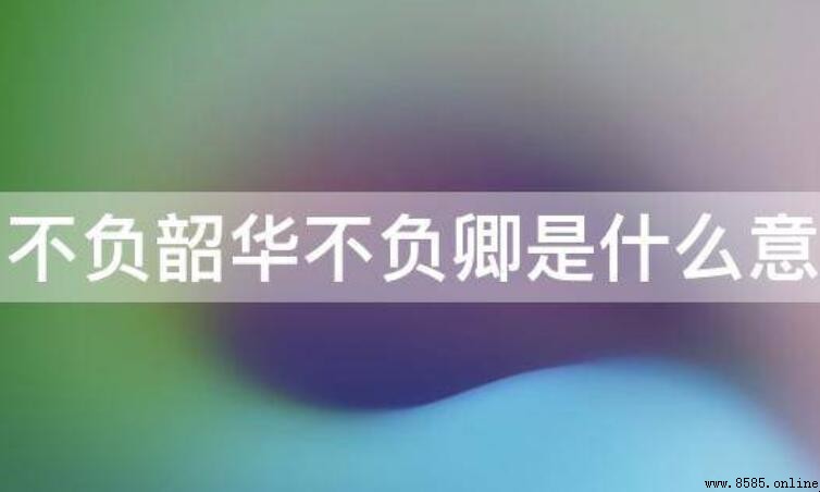 不负韶华不负卿是什么意思