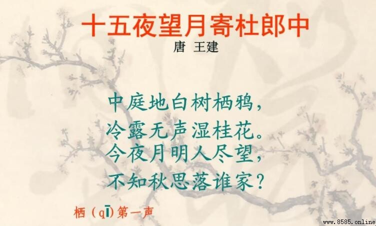 《十五夜望月寄杜郎中》的作者是誰