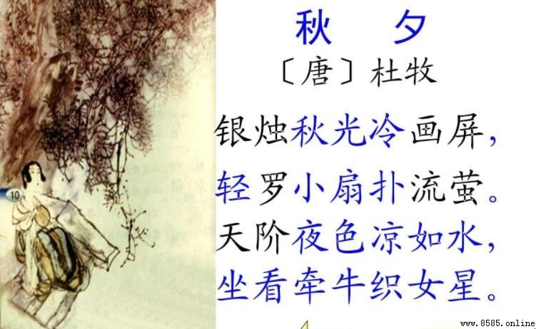古诗《秋夕》是什么体裁