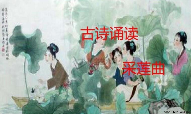 《采蓮曲》詩體裁解析:七言絕句與初戀情態描寫