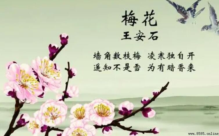 《梅花》屬於什麼類型的詩