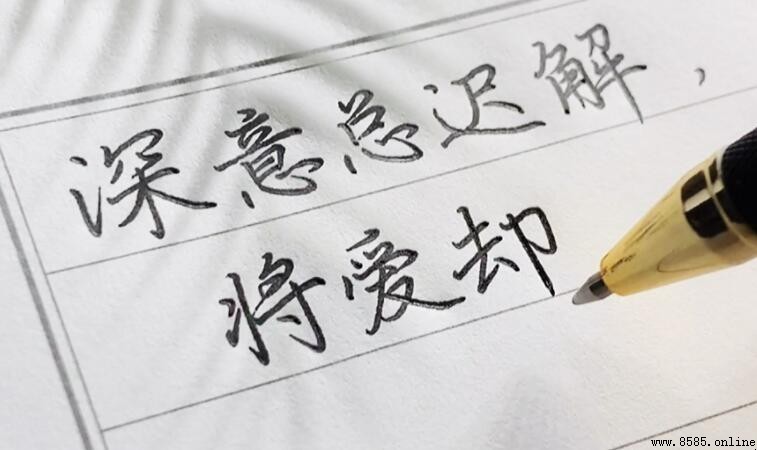 深意總遲解將愛卻晚秋的意思解析