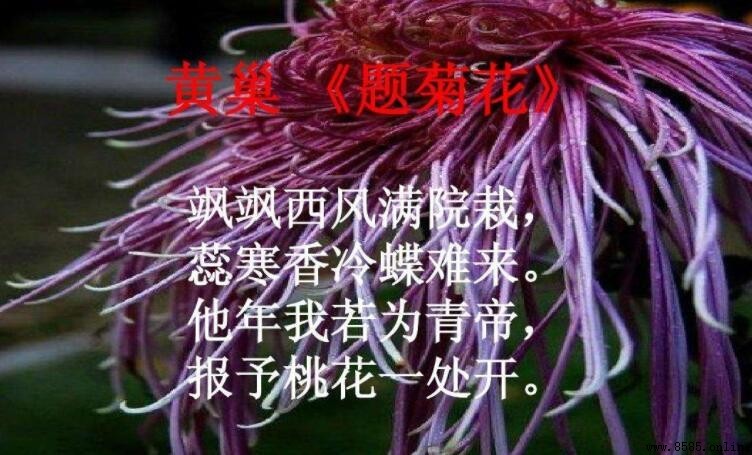 飒飒西風滿院栽下一句是什麼