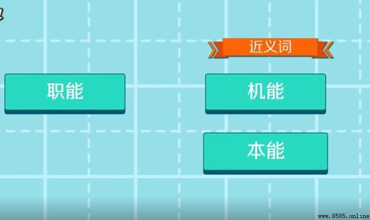 職能是什麼意思