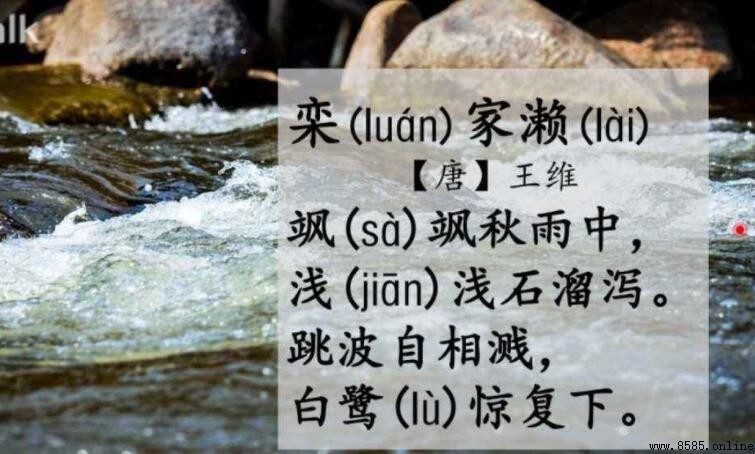 「飒飒秋雨中」下一句是什麼?完整詩句與出處解析