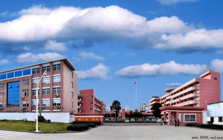 職校是什麼學校?職業高中介紹與升學出路