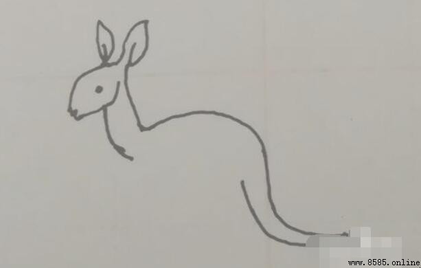 小袋鼠简笔画教程：分步教你轻松绘制
