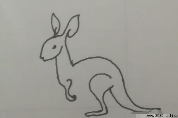小袋鼠简笔画教程：分步教你轻松绘制