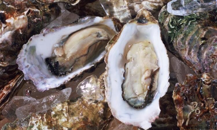 海蛎子與生蚝的差別：它們是一樣的嗎？