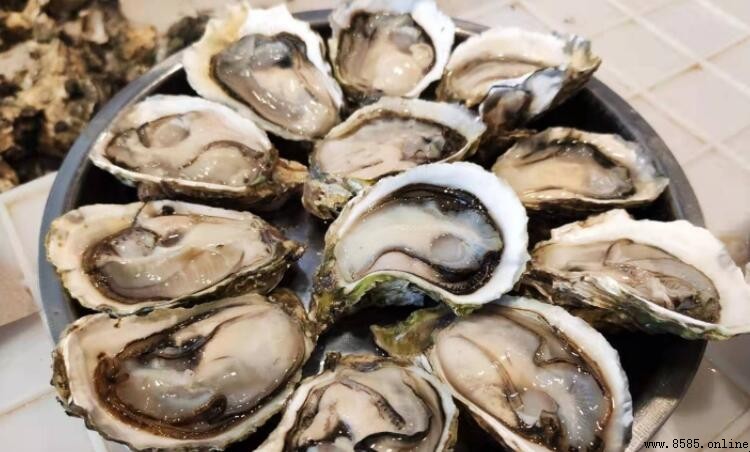 海蠟子營養價值大揭密：補鈣美顏延年的南方佳品
