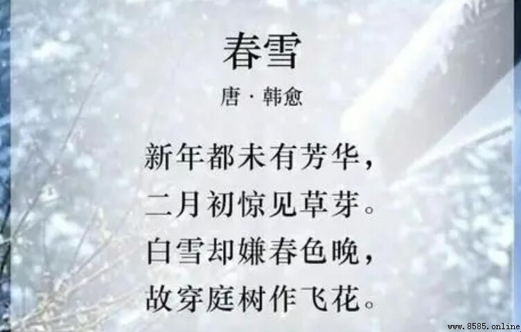 《春雪》屬於什麼體裁