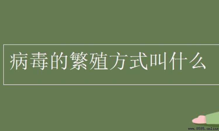 病毒如何繁殖：自我复制机制解析