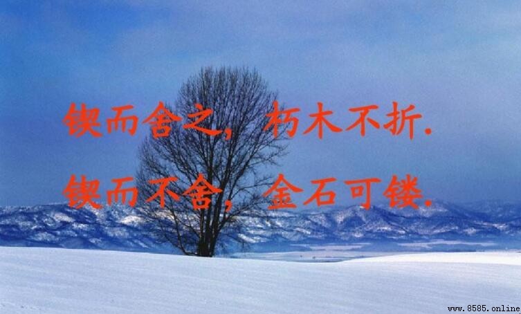 「锲而舍之，朽木不折」是什麼意思？