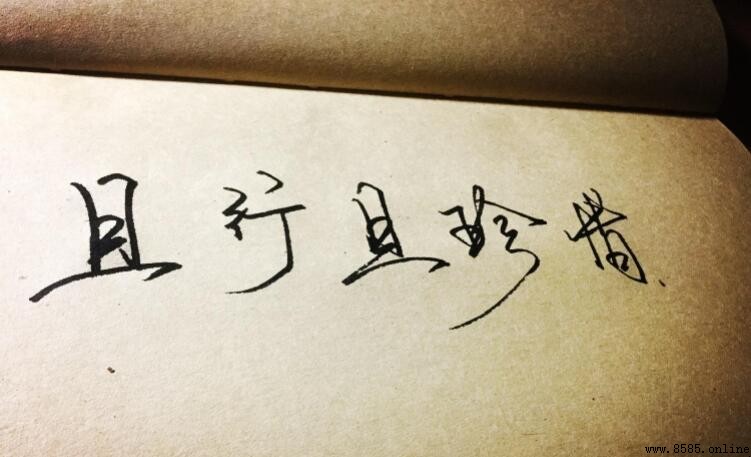 且行且珍惜的经典句子精选