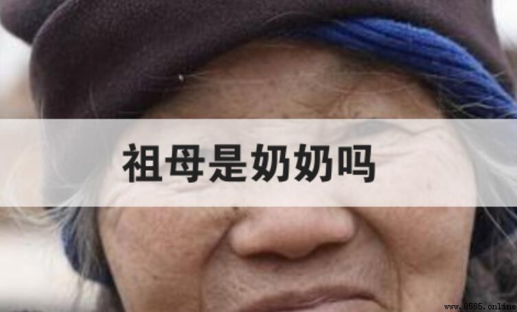 祖母是奶奶嗎？解析兩者關係與稱謂差異