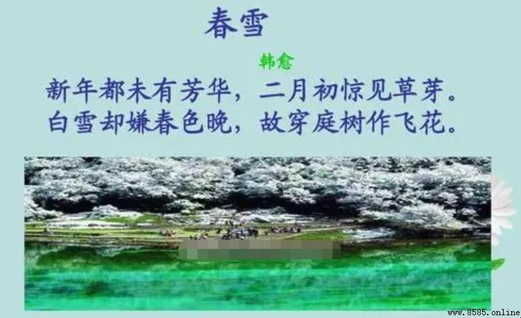 《春雪》作者是誰？解析唐代韓愈的七言絕句