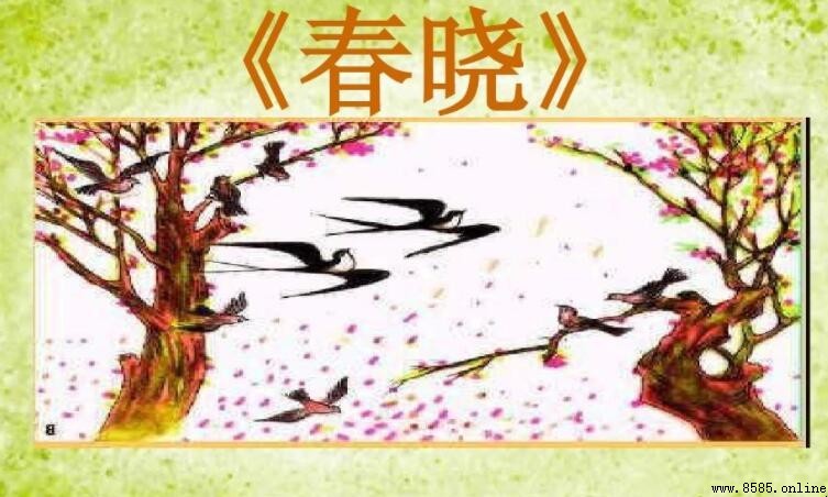 《春曉》屬於什麼類型的古詩