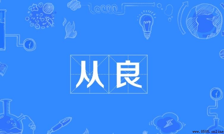 從良的意思