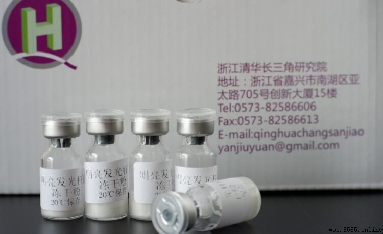 凍干粉能每日使用嗎?正確使用須知與注意事項